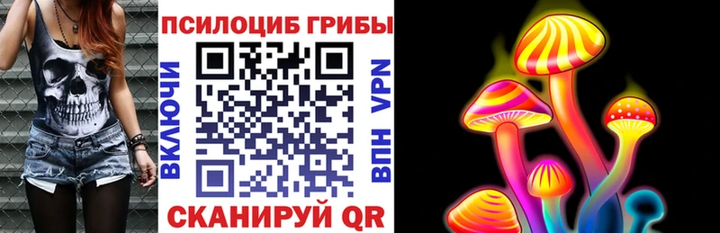 Псилоцибиновые грибы мицелий  наркотики  дарк нет официальный сайт  Анадырь 